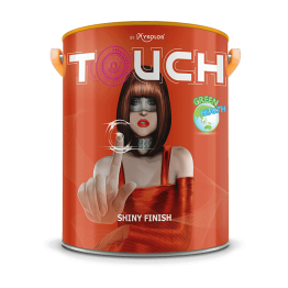 MYKOLOR TOUCH SHINY FINISH